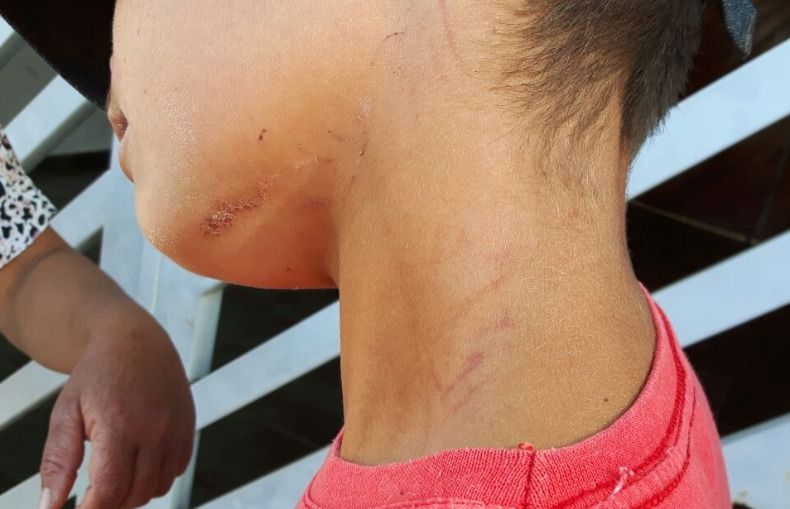kauan_790x505_16022018130240