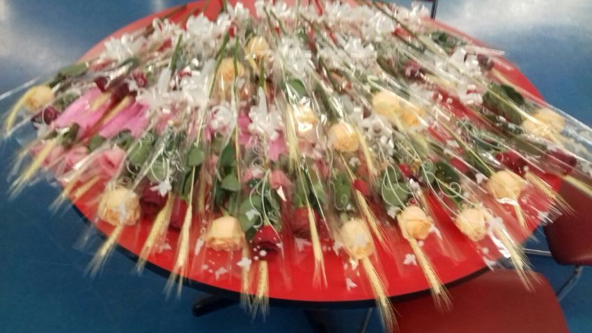 centro de convivencia