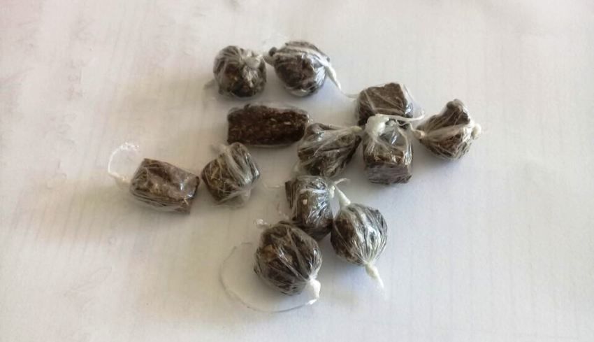 maconha