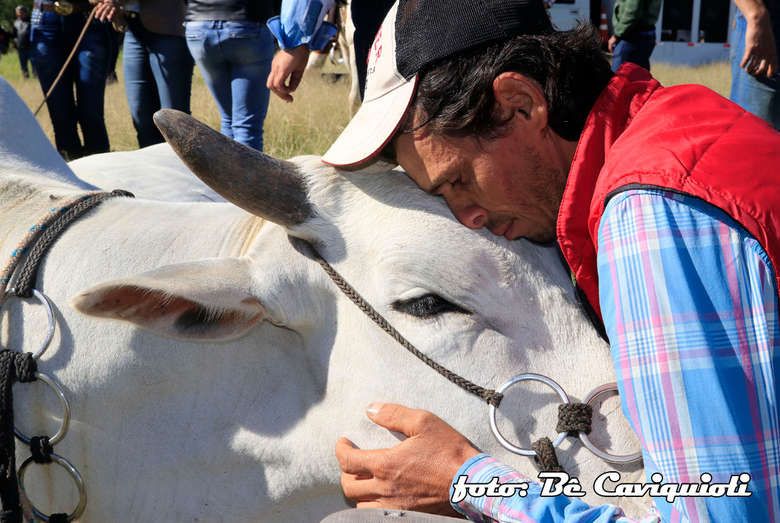 cavalgada022