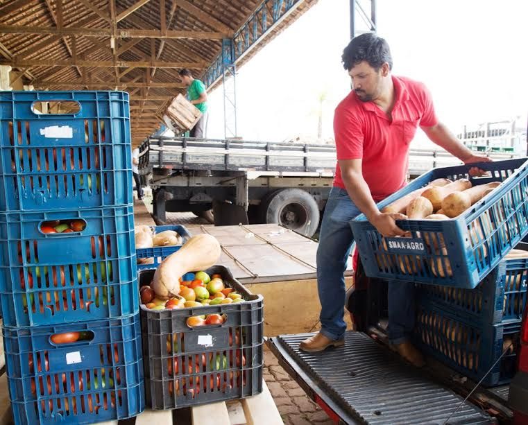 alimentos002