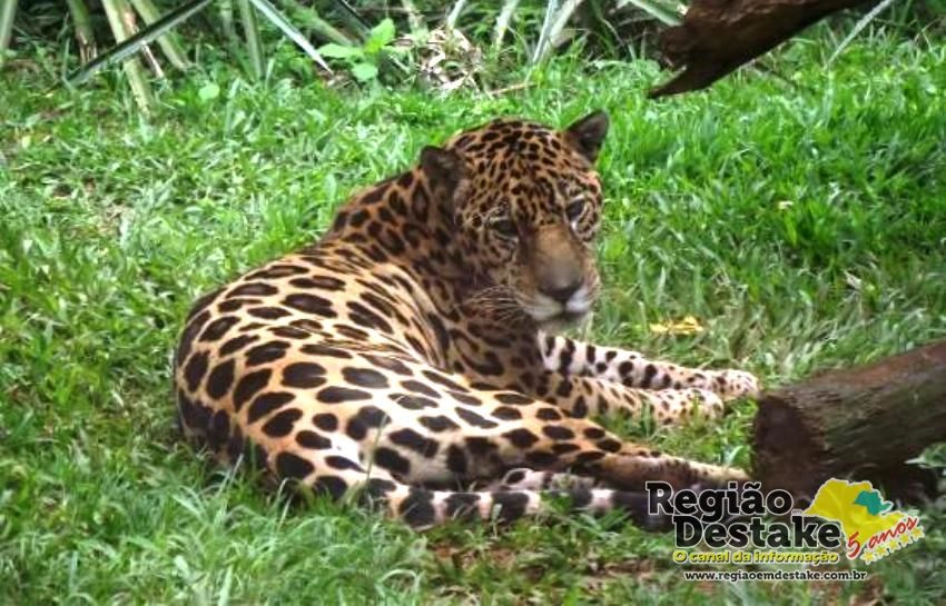 parque-ecologico-de-sao