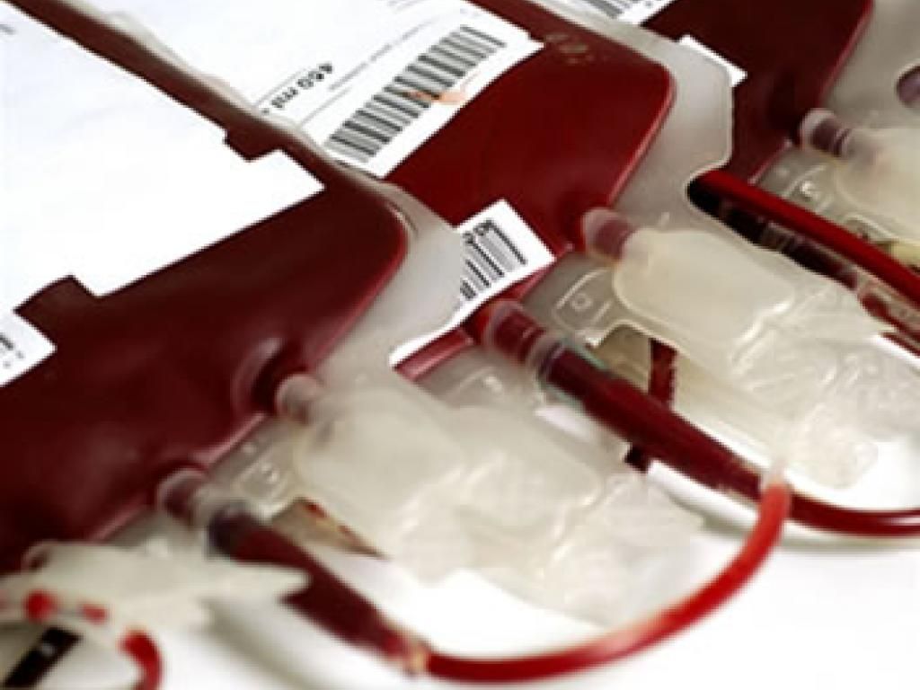 sangue