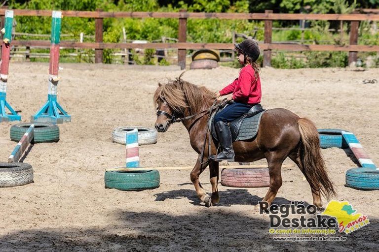 Horseback riding, lovely equestrian - little girl is riding a horse