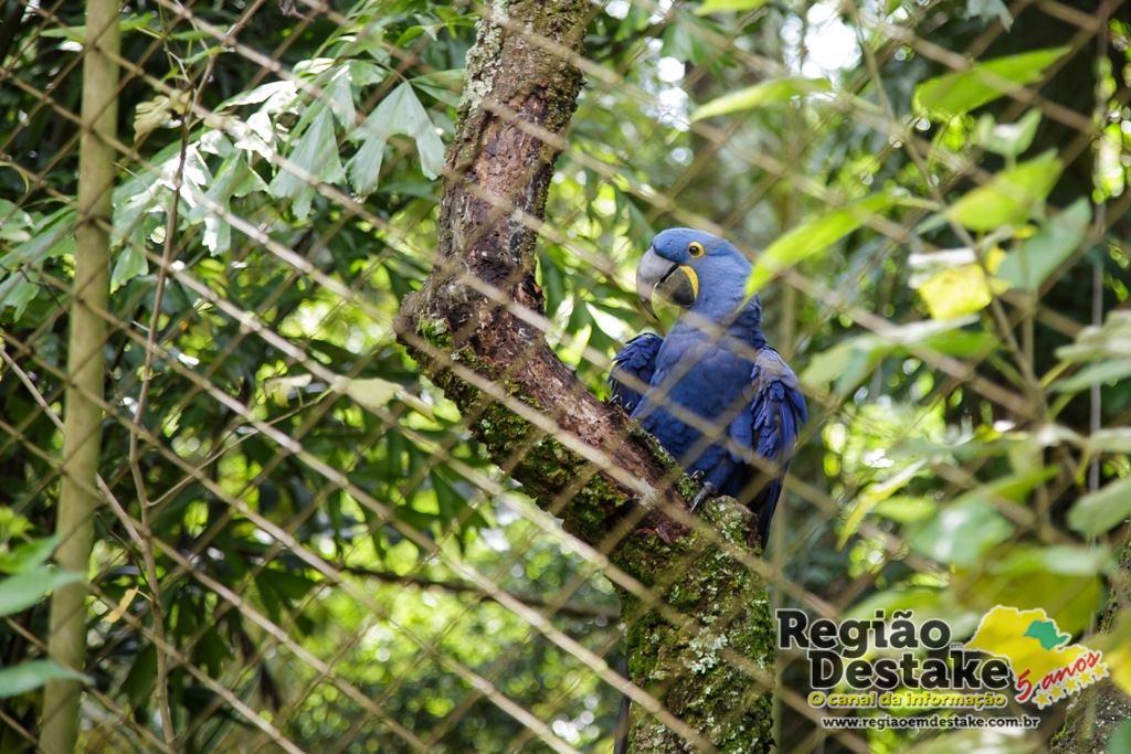 parque ecologico_MG_0320
