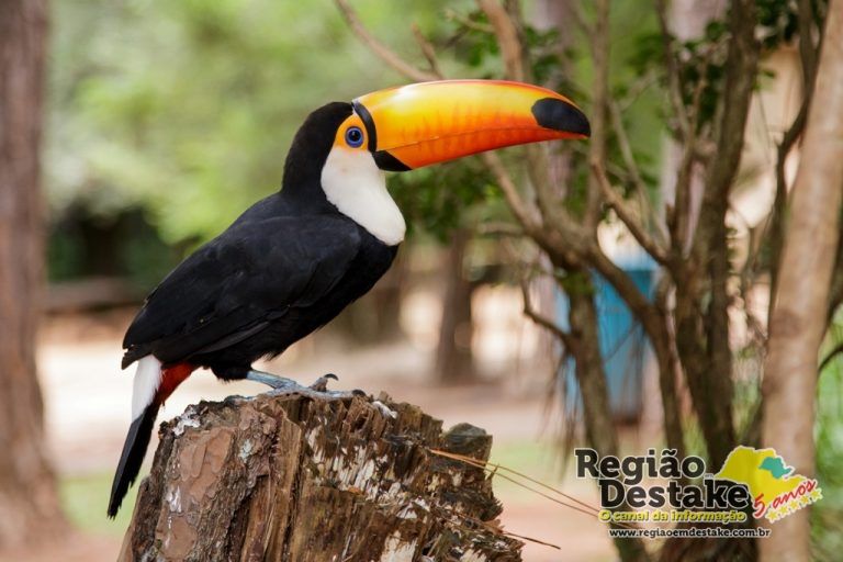 parque ecologico_MG_9977
