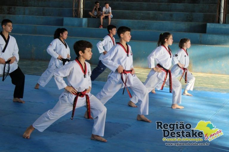 Taekwondo 2