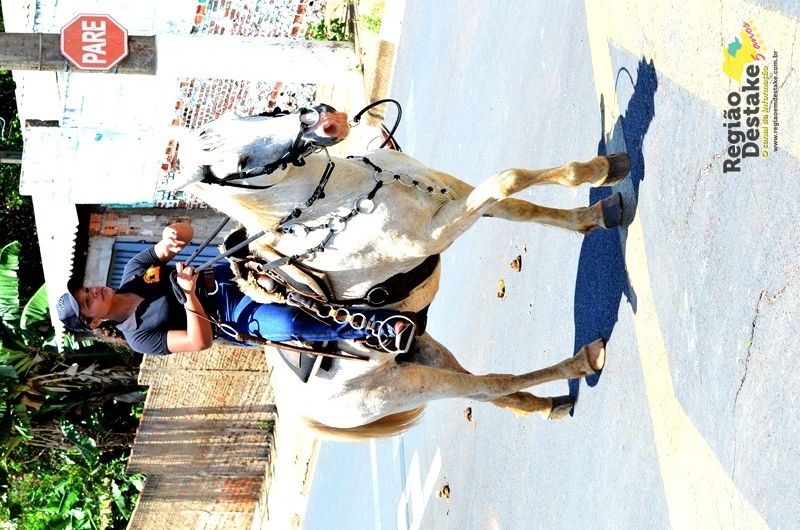 cavalgada-sao-francisco-2018 (110)