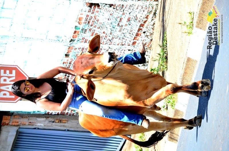 cavalgada-sao-francisco-2018 (122)
