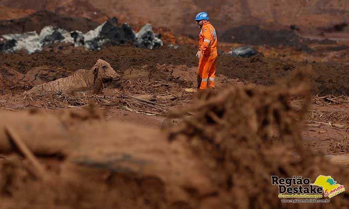 BRUMADINHO