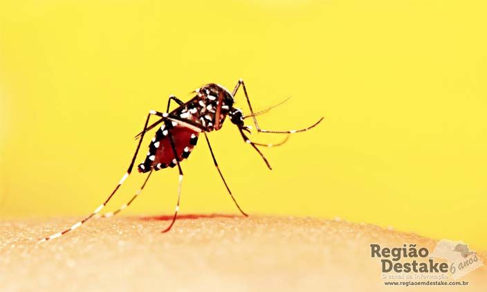 dengue