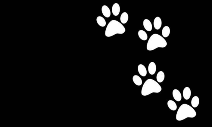 obituario-pet