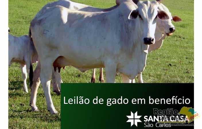gado