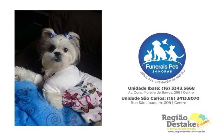 funerais-pet