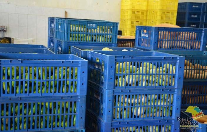 ALIMENTOS