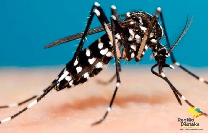 dengue