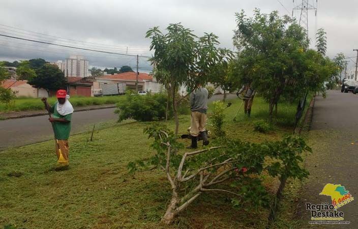 LIMPEZA