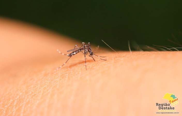 dengue