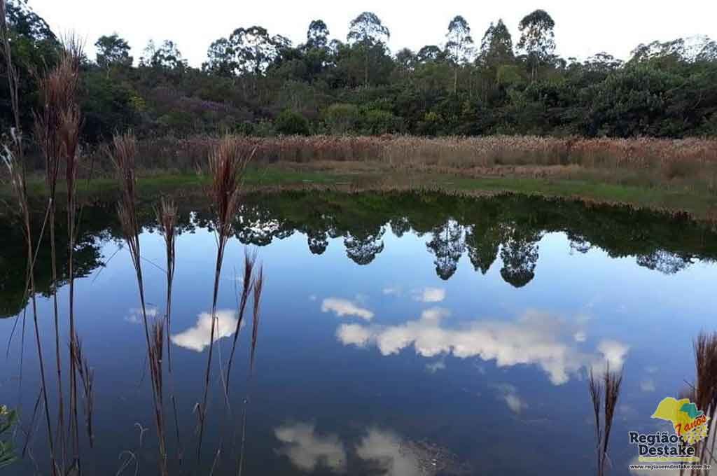 CERRADO