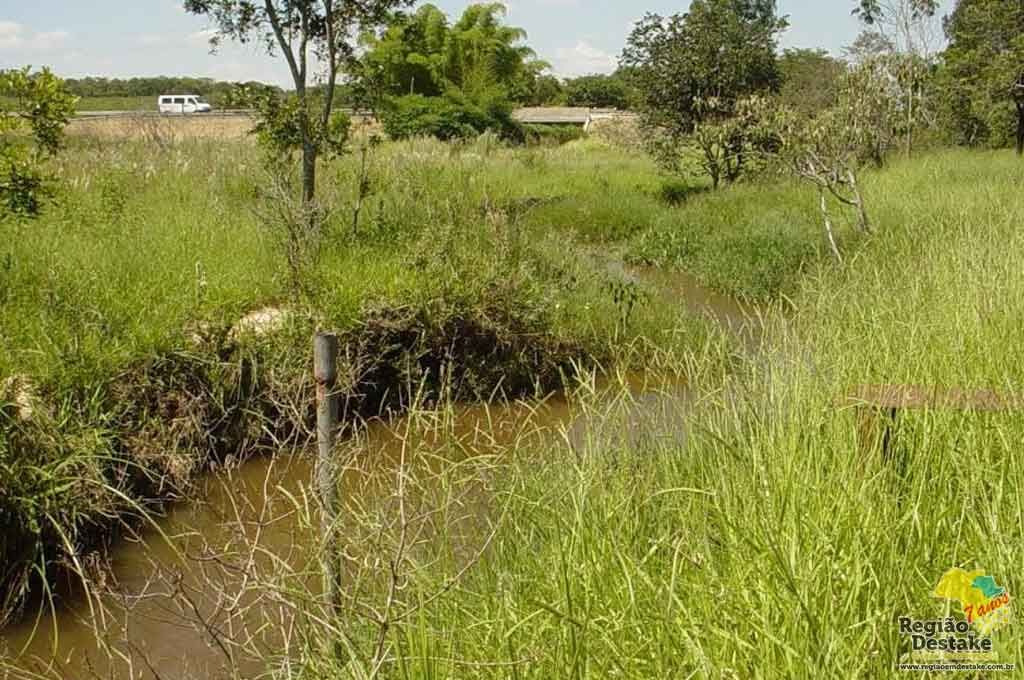 FEIJAO