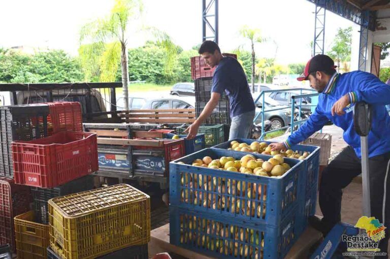ALIMENTOS