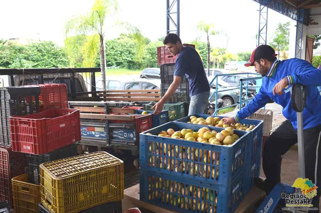 ALIMENTOS