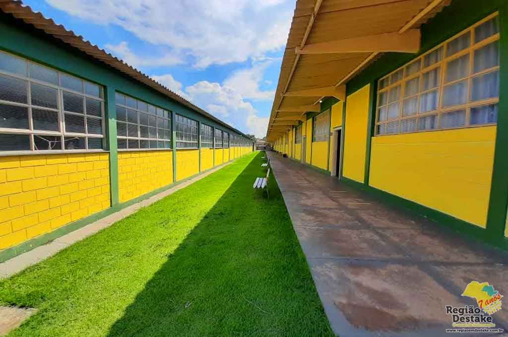 BRASILINA1