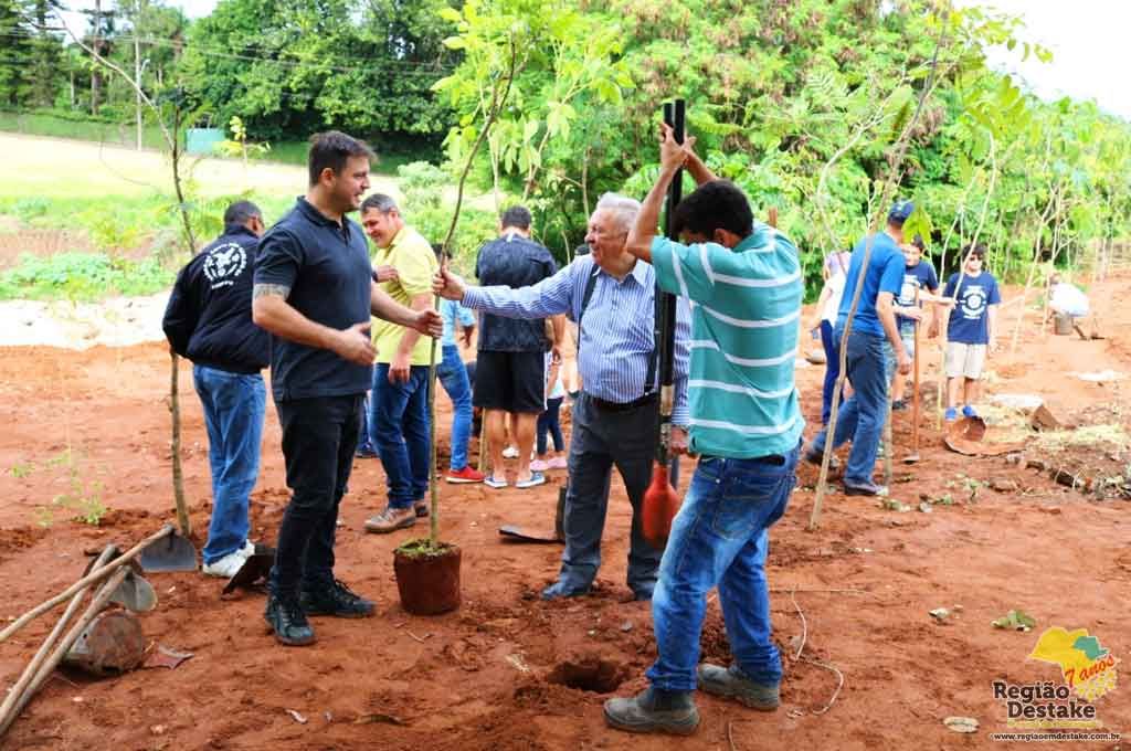 ARBORIZAÇÃOSC