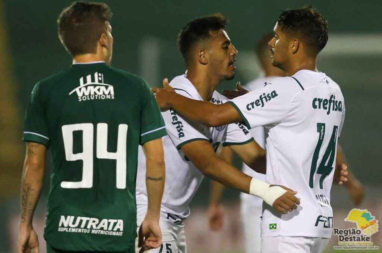 palmeiras