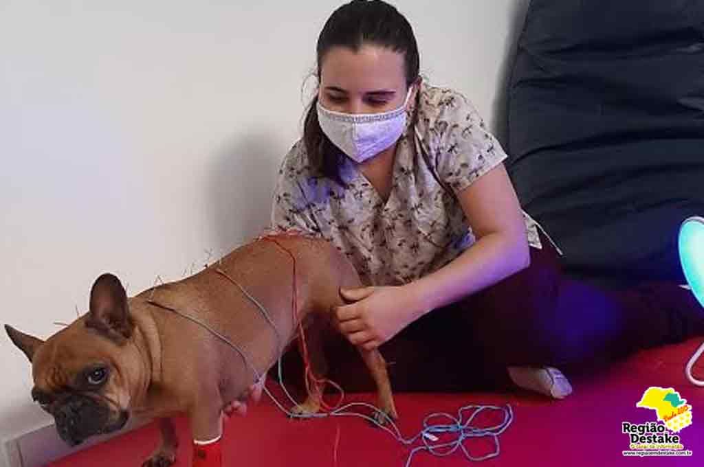 PET01