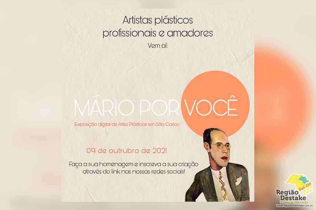 MARIOPORVC