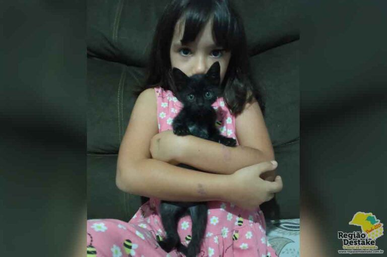 gatinha