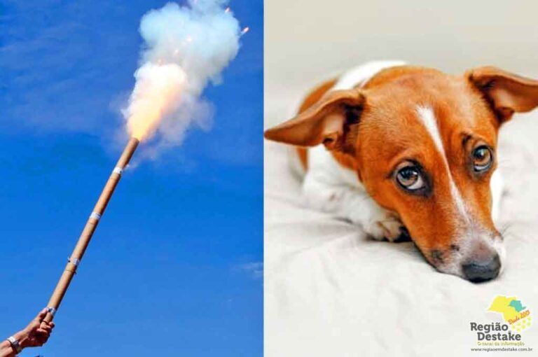 FOGOS-