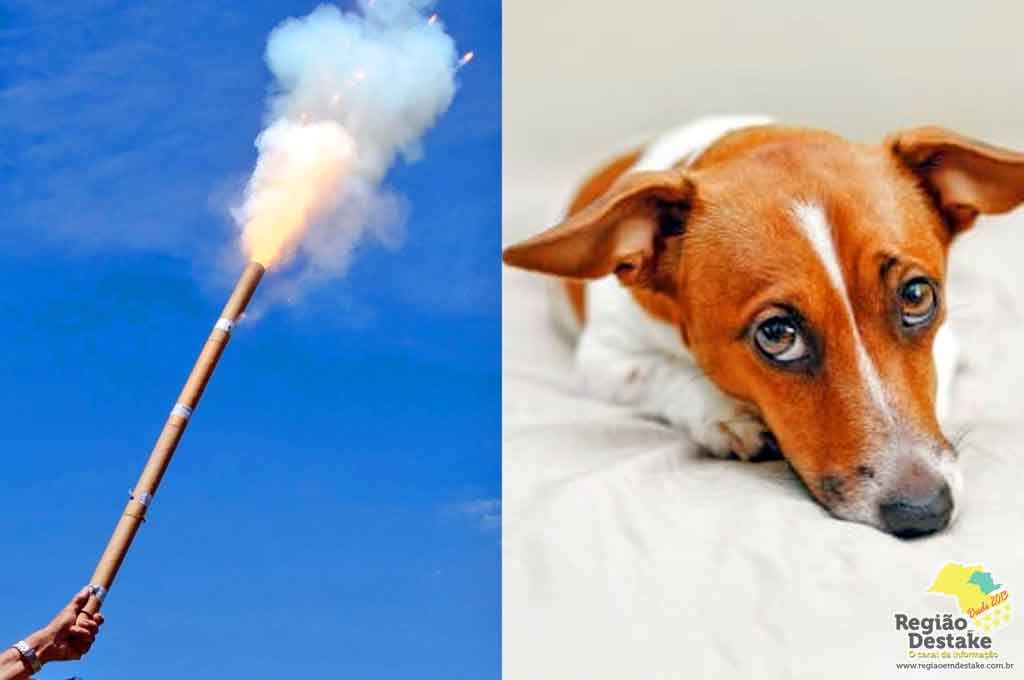 FOGOS-