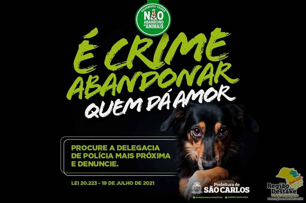 animais01