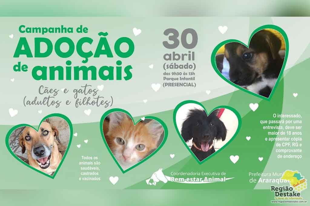 ADOCAOANIMAL