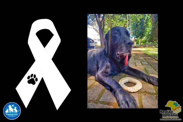 AQUILES