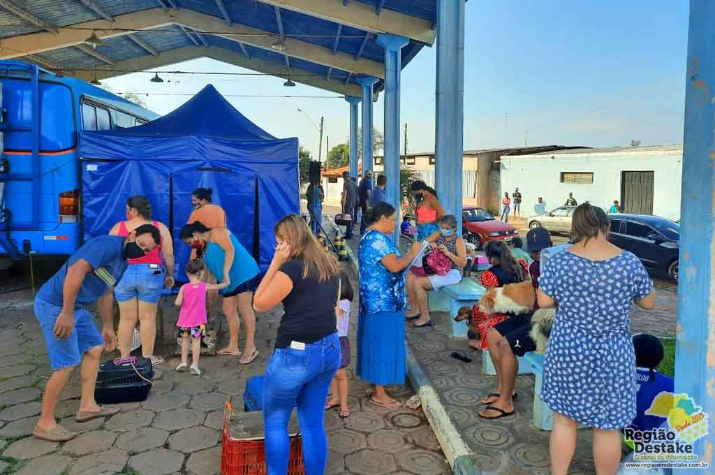 CASTRACAO