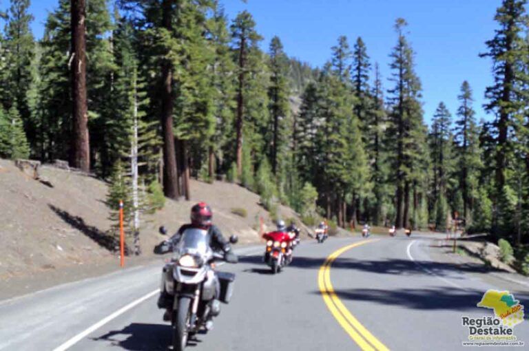 MOTOS