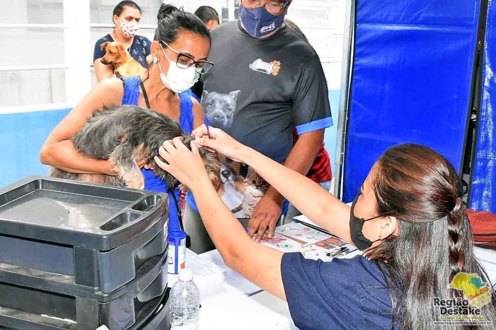 CASTRAÇÃO
