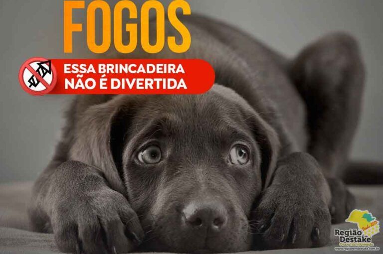 FOGOS4