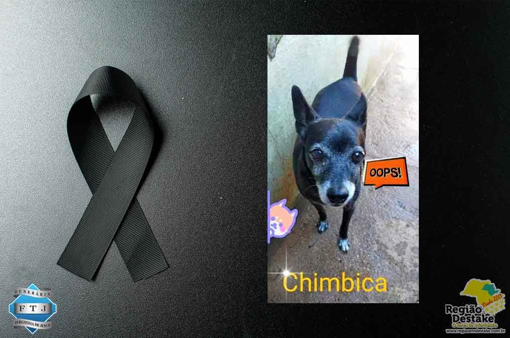 chimbica