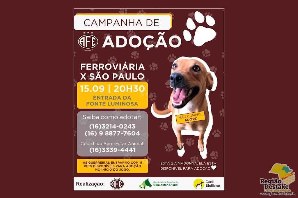 ADOÇÃO
