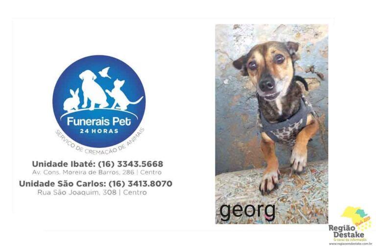 georg