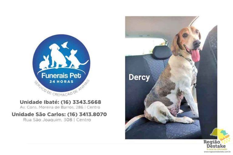 dercy