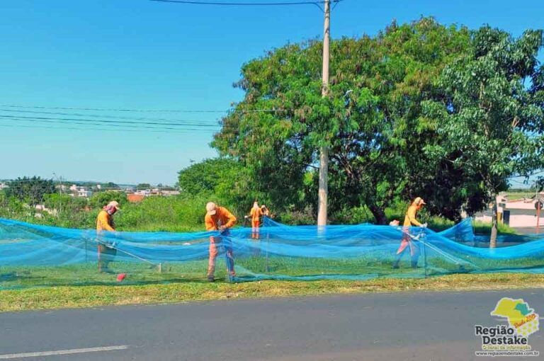 LIMPEZA