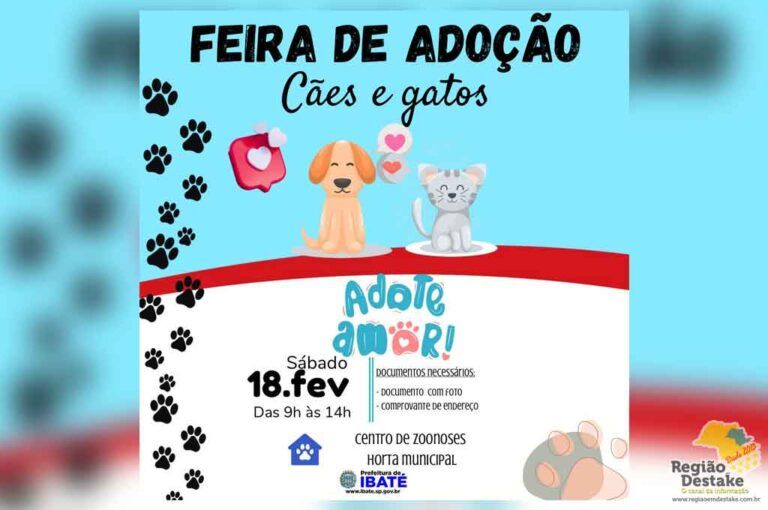 FEITINHA