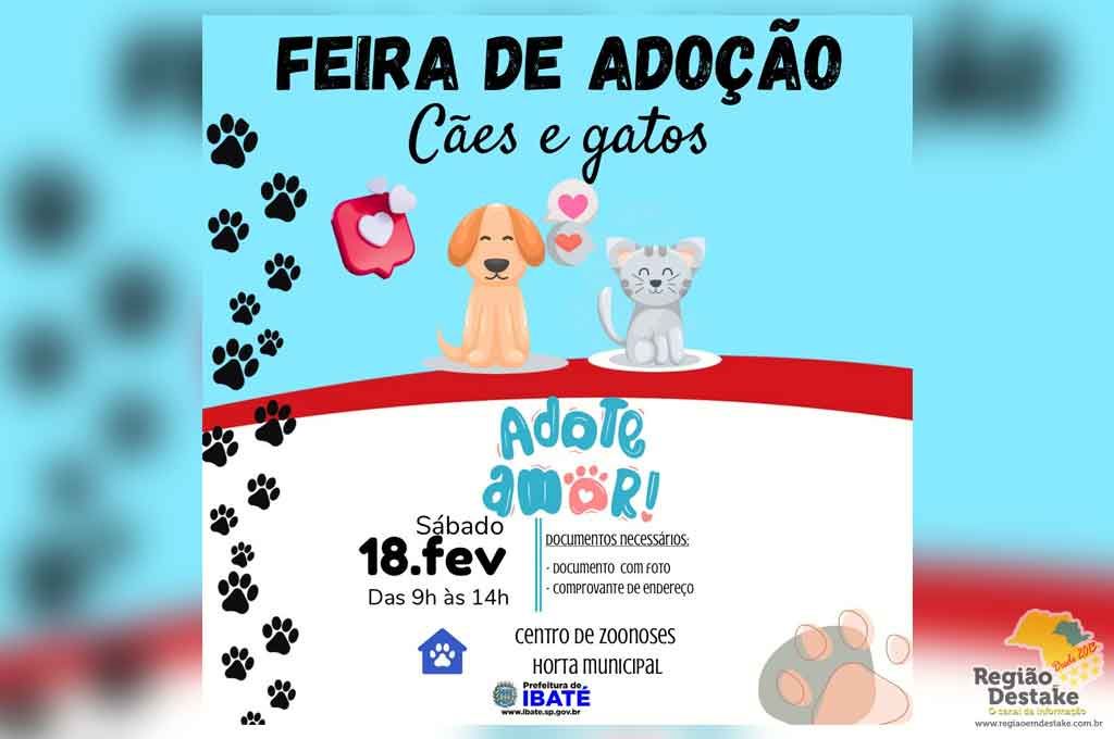 FEITINHA