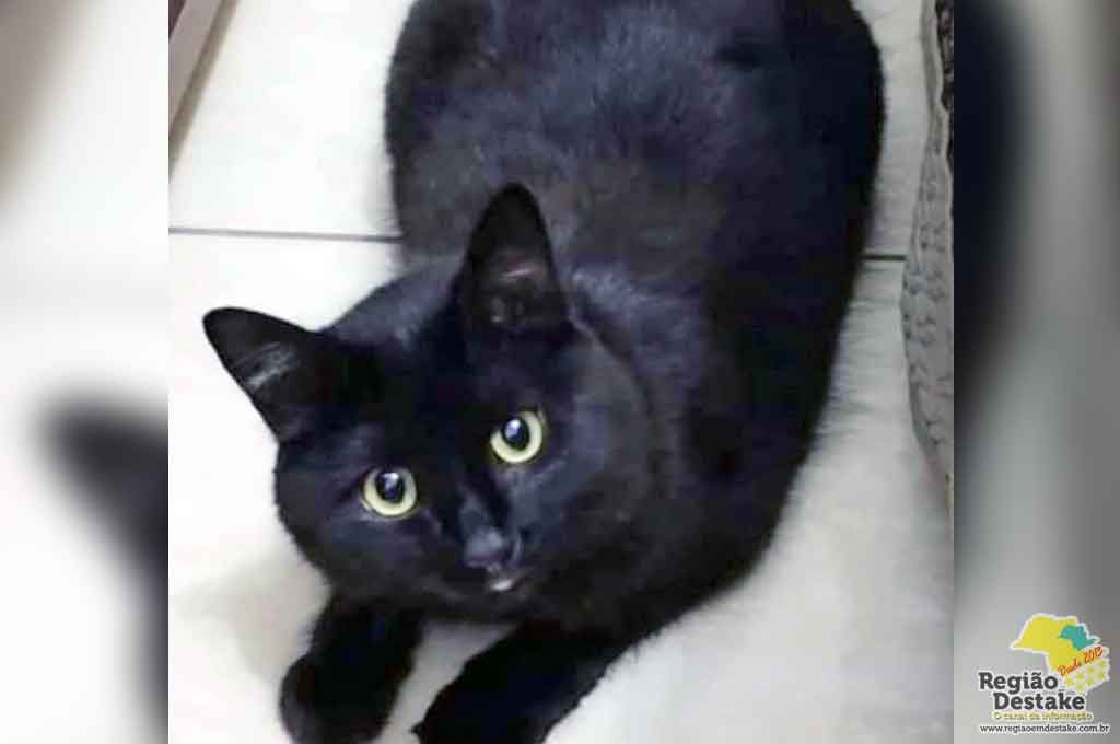 LUA