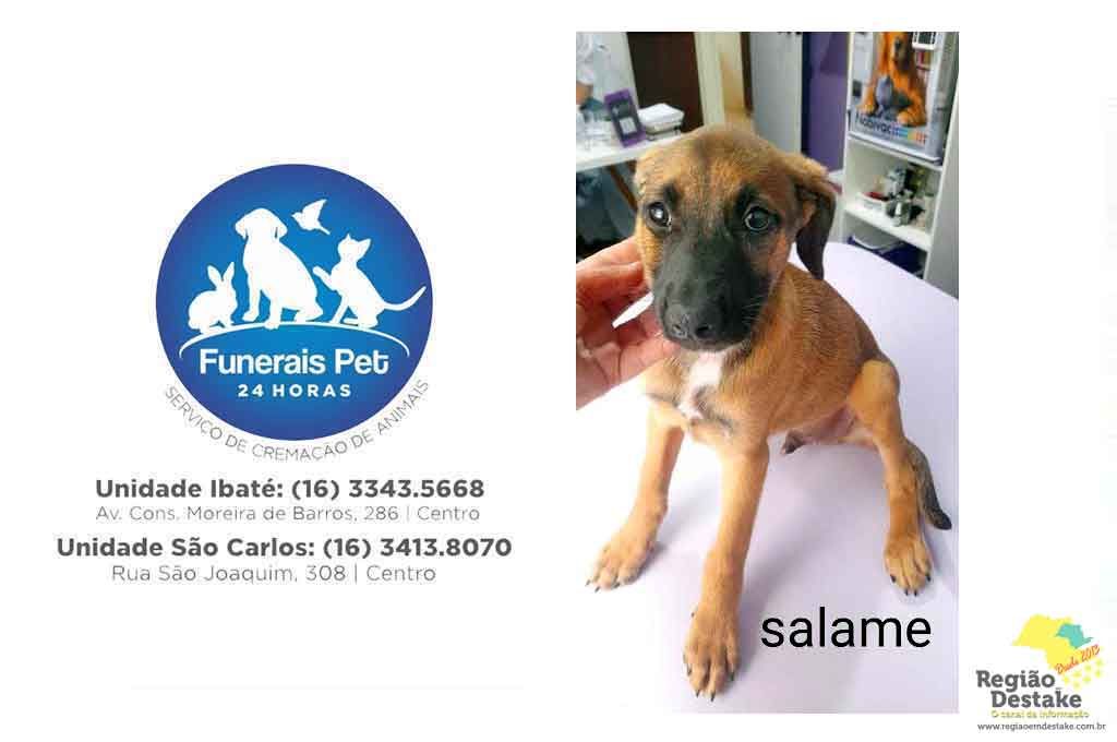 salame